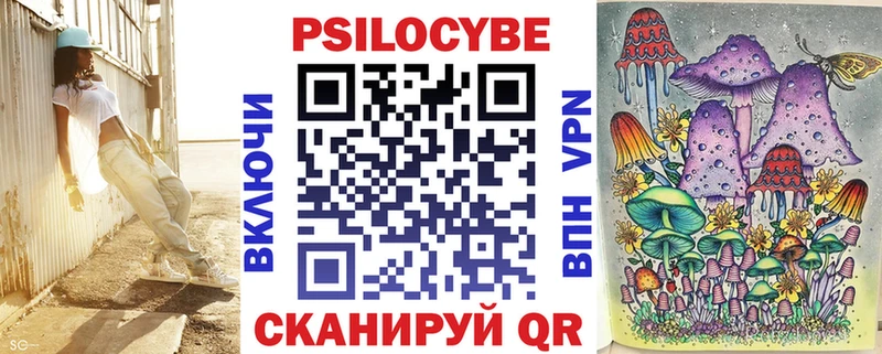 Псилоцибиновые грибы Cubensis Курчалой