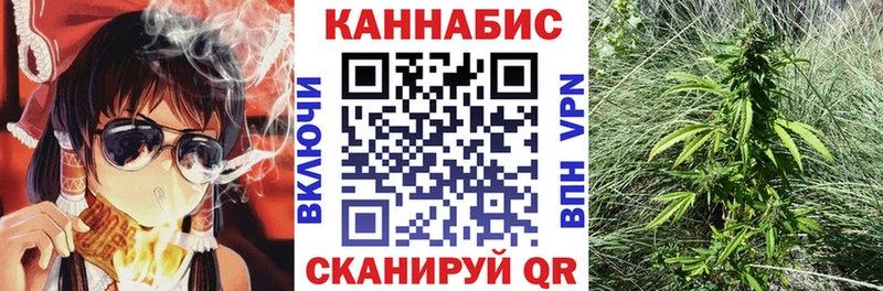 Канабис гибрид  Курчалой 